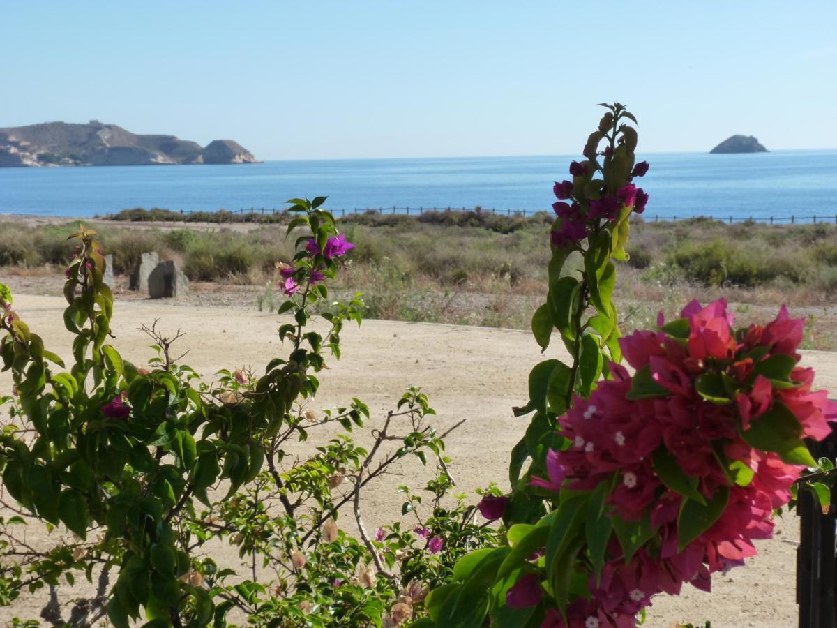 Las Azaleas San Juan De Los Terreros Exterior foto